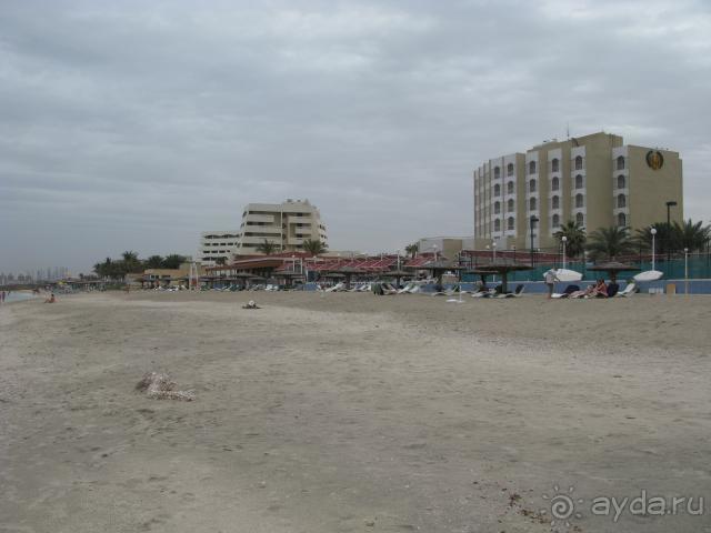 фото Cesar's Palm