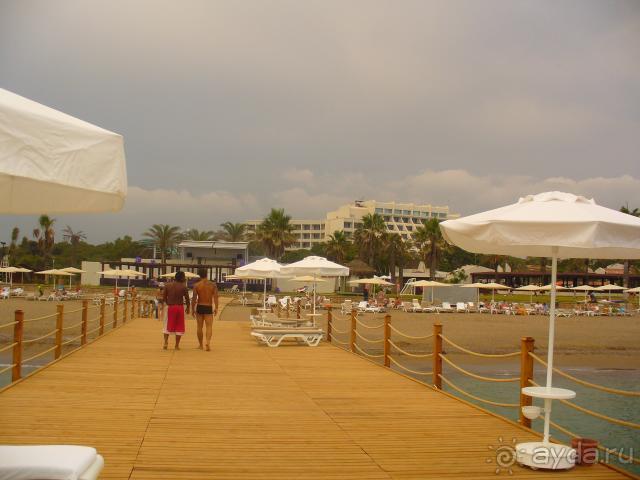 фото Ambassador Berne