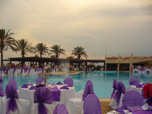 фото Ambassador Berne