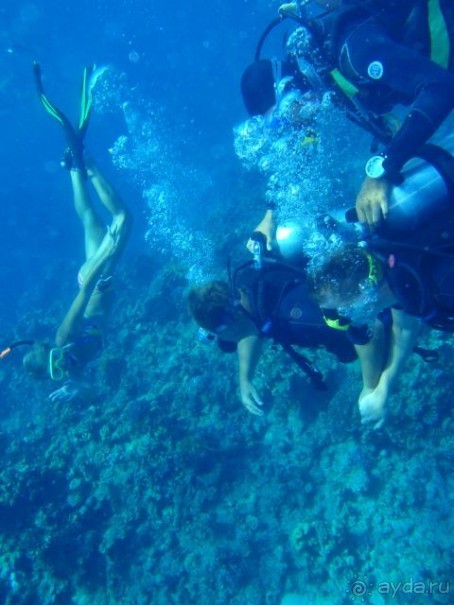 Sunrise Island View - мечта снорклера!!!