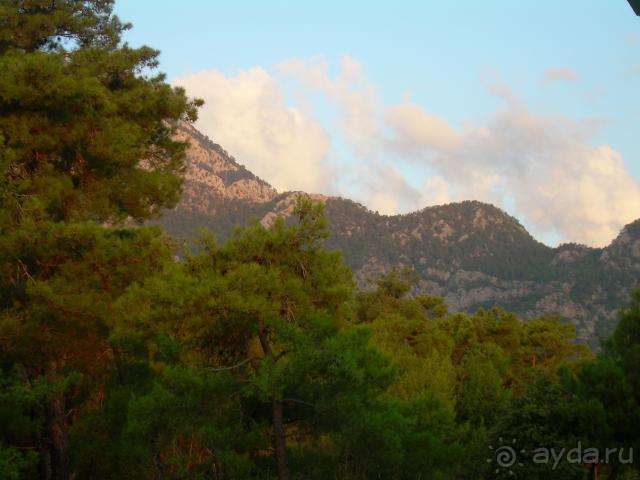 Скромный отель.