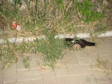 ТУРЦИЯ-АЛАНИЯ-САПФИР4*