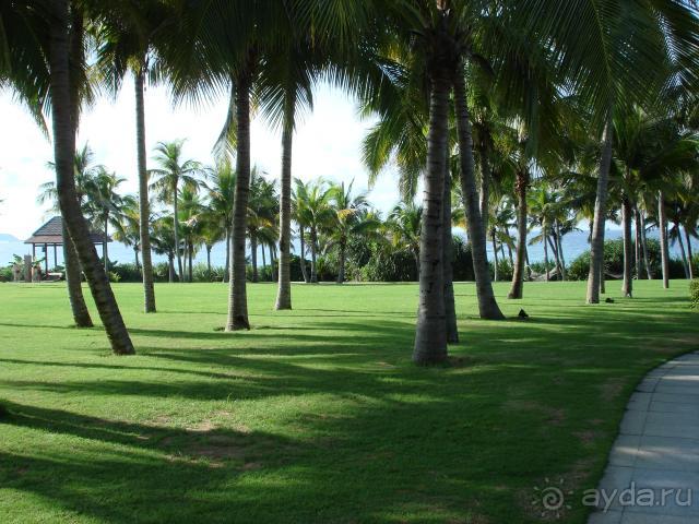 Mangrove Tree Resort