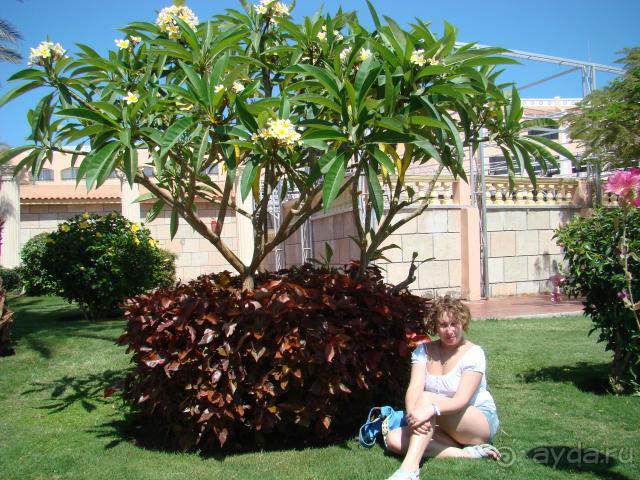 фото Albatros Aqua Park Resort