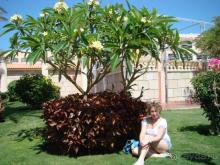 Еще дна поездка)