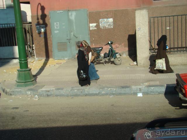 фото Albatros Aqua Park Resort