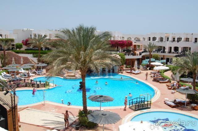 фото Verginia Sharm 