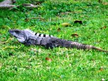 Отель, где не бывает скучно