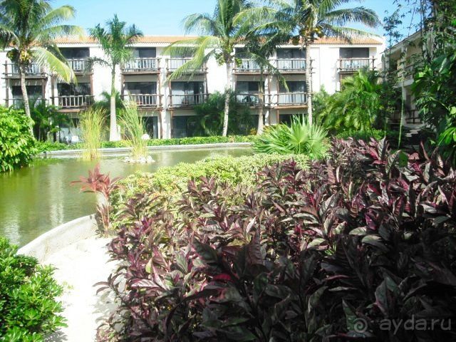 Отель, где не бывает скучно