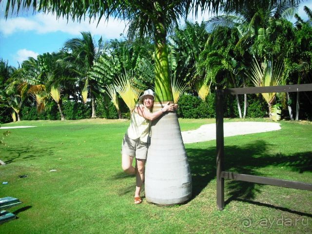 Отель, где не бывает скучно