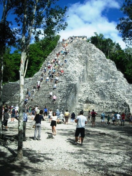 Отель, где не бывает скучно