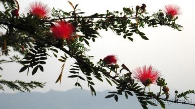 Отдых в Читване