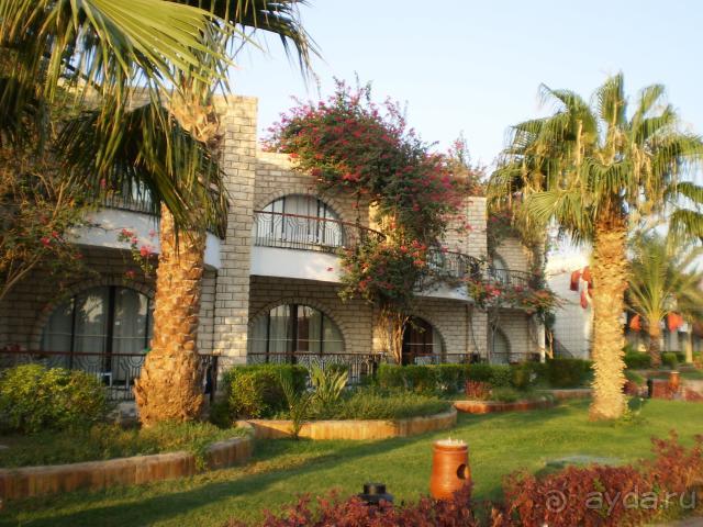 фото Aladdin Beach Resort