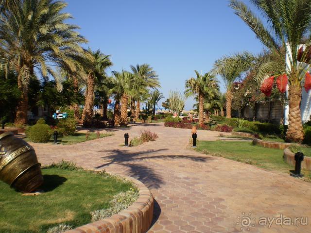 фото Aladdin Beach Resort