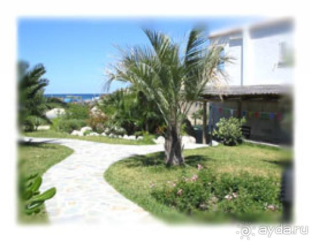 Вы удивитесь простоте и гостеприимству хозяев