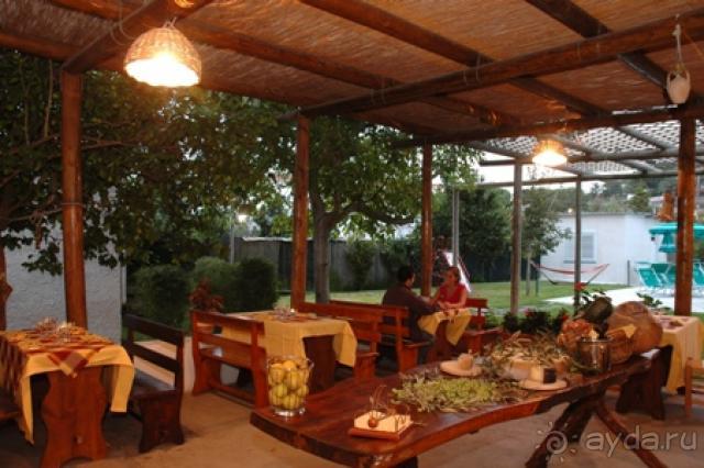 Вы удивитесь простоте и гостеприимству хозяев