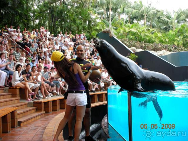 фото Albana Real