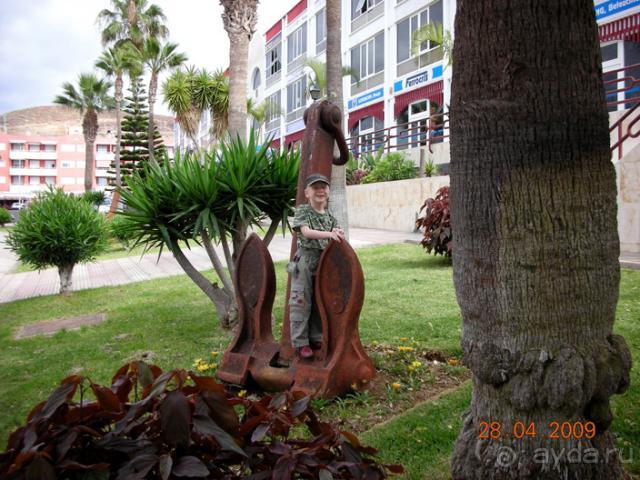 фото Albana Real