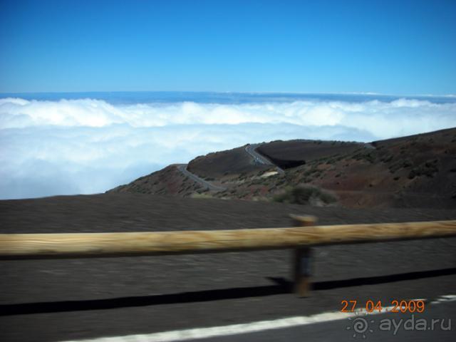 фото Albana Real