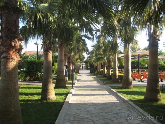 аллея к морю