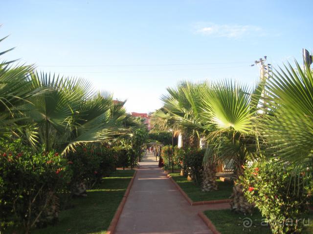 аллея к морю