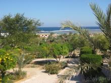 дорога к морю