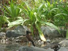 Очень хороший отель