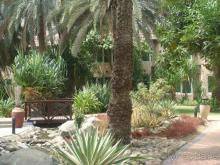 Очень хороший отель