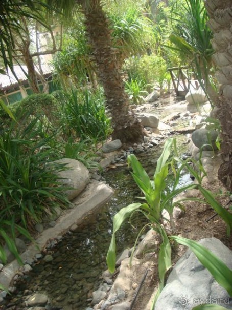 фото Habtoor Grand Resort, Autograph Collection