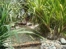 фото Habtoor Grand Resort, Autograph Collection