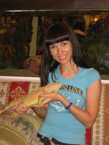 фото Club Sun Heaven Family & SPA