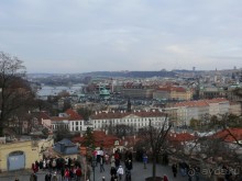 фото Родопи Цвете