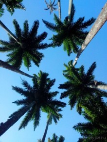 ПО ТУ СТОРОНУ ЭКВАТОРА (организационные моменты)