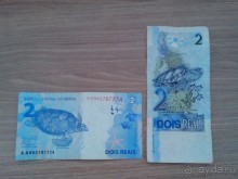 ПО ТУ СТОРОНУ ЭКВАТОРА (организационные моменты)