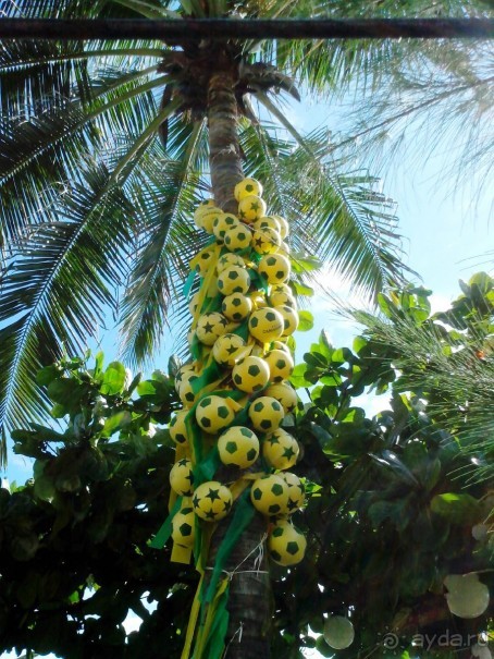 ПО ТУ СТОРОНУ ЭКВАТОРА (организационные моменты)