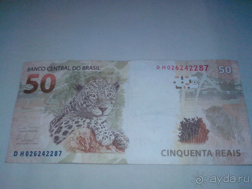 ПО ТУ СТОРОНУ ЭКВАТОРА (организационные моменты)