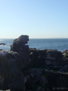 Португалия. Год спустя