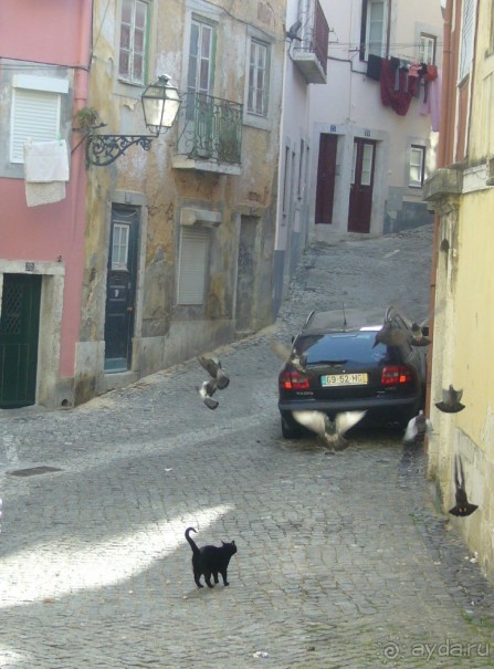 Португалия. Год спустя