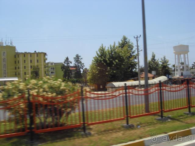 фото Kleopatra Alis