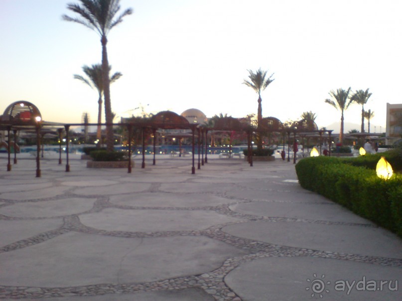 фото Desert Rose Resort