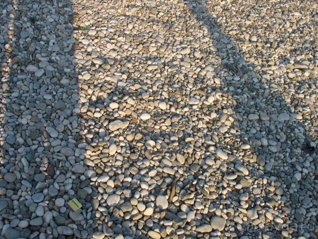 фото Elamir Grand Lukullus