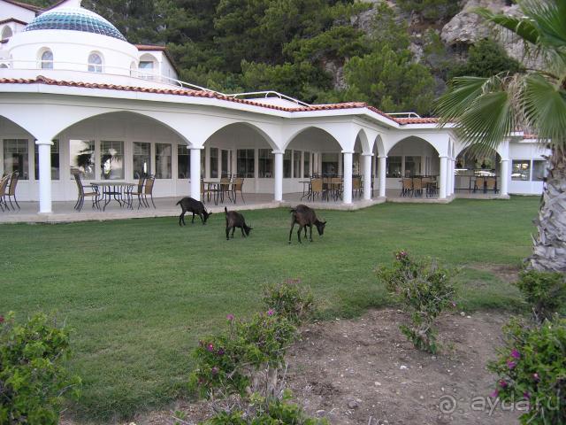 Чудесный ландшафт, чистое море и плохой сервис