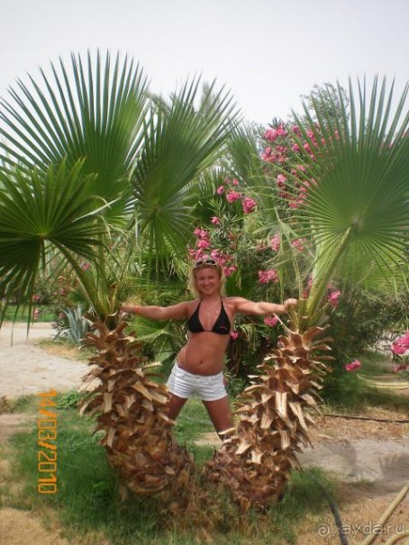 Замечательно