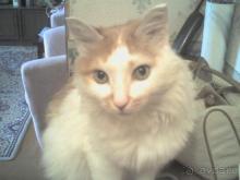 ужасный отель