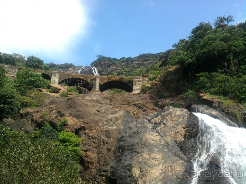 фото Villa Candolim