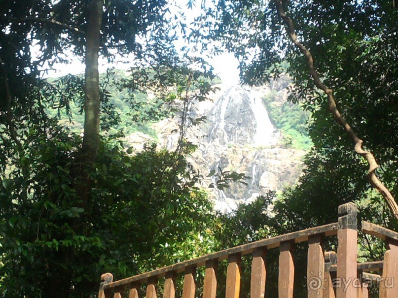 Ожидали чего угодно, но были приятно удивлены.