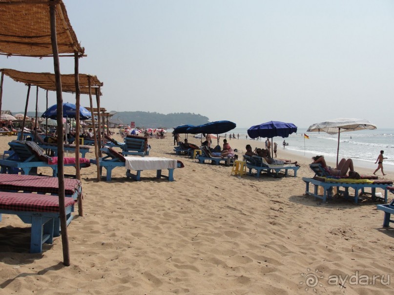 Ожидали чего угодно, но были приятно удивлены.