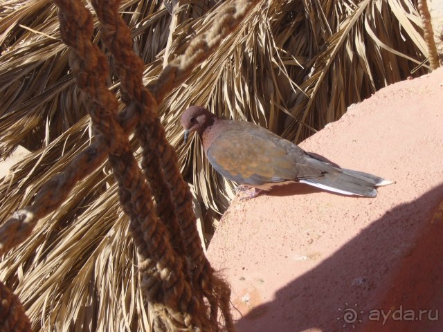 фото Jolie Ville Golf & Resort