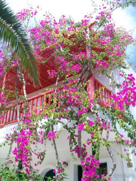 фото Stella Village