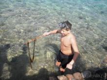 фото Schweizerhof